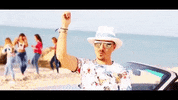 nicodonys verano nicodonys GIF