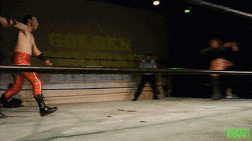 Princess Sweetheart GIF by SHWA Wrestling