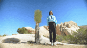 Yoga Cactus GIF by Bay Ledges