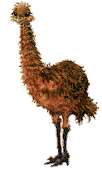 Bird Sticker
