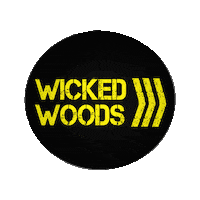 Skatehalle Sticker by wickedwoods