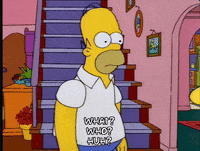 homer simpson GIF