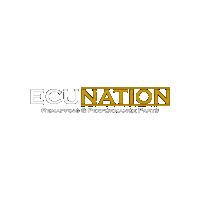 Chiptuning Sticker by Ecunation Remapping Official