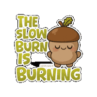 Burning Slow Burn Sticker