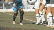 Csurams GIF by Colorado State Rams
