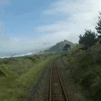 GIF by GreatJourneysofNZ