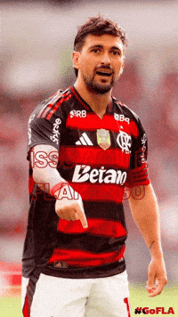 TheBuuf flamengo arrasca GIF