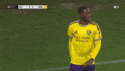 Vamos Orlando City GIF by Major League Soccer