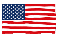 Usa Usa Sticker