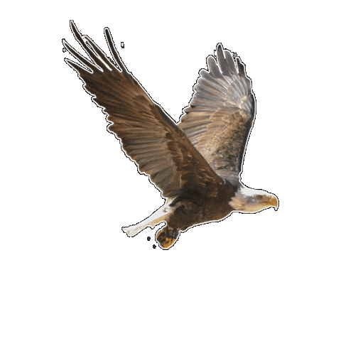 Museumparkarcheon giphygifmaker Sticker