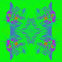 art looking GIF by hoppip