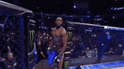 Sport GIF by UFC