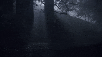 Scared Jill Wagner GIF by Hallmark Mystery