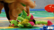 GIF by Puppy Bowl