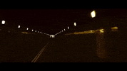 pittsburgh pennsylvania GIF