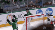 Celebrate Ice Hockey GIF by NHL