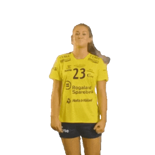 Rema1000Ligaen Sticker by Norsk Topphåndball