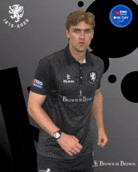 Celebration Win GIF by Somerset County Cricket Club