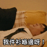 Tiger Mirror GIF by ViuTV