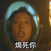 Tiger Mirror GIF by ViuTV