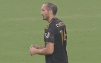 Los Angeles Italy GIF by Major League Soccer