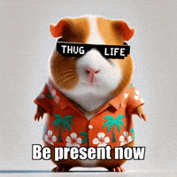 Sun Peace GIF by Guinea Gambino