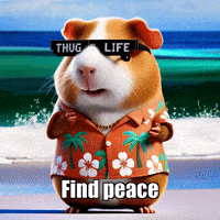 Joy Peace GIF by Guinea Gambino