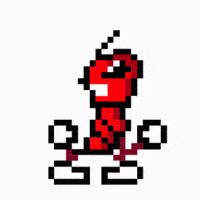 UniversityOfLynchburg dancing yes celebrate university GIF