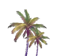 Los Angeles Summer Sticker by Aldo Shoes