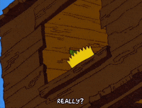 surprised bart simpson GIF