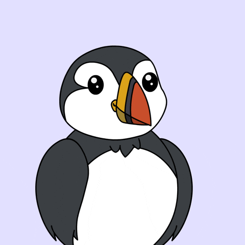puffinsdotfun giphyupload happy meme smile GIF