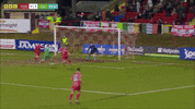 Red Army Celebration GIF by Cliftonville Football Club