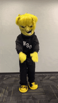 Wu_Shock softball pitcher athletic wu GIF