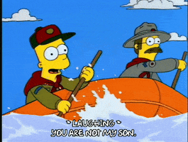 homer simpson GIF