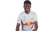 Football Yes Sticker by FC Red Bull Salzburg