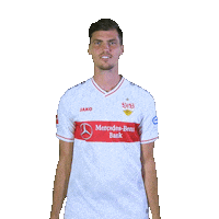 Hochwischen Swipe Up Sticker by VfB Stuttgart