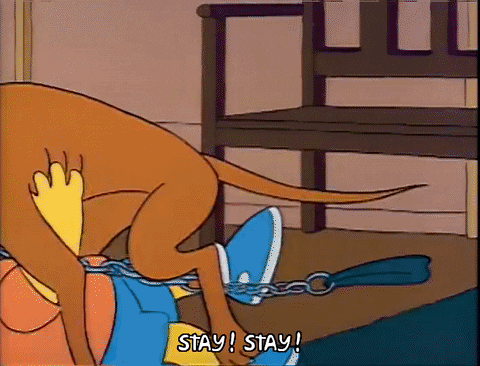 Season 2 GIF by The Simpsons