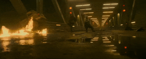 d4441 giphyupload GIF