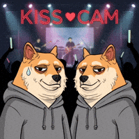 Awkward Shiba Inu GIF by Doge Pound