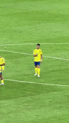 ducchelsea giphyupload ronaldo GIF