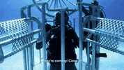 Discovery Dude Perfect GIF by Shark Week