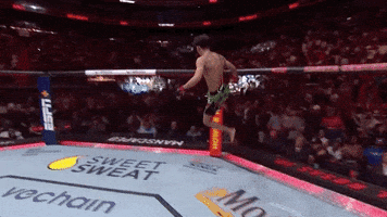Sport GIF by UFC