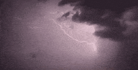 Rain Storming GIF by reactionseditor