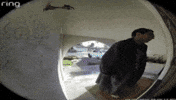Camera Rage GIF