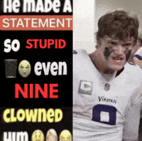 Minnesota Vikings GIF