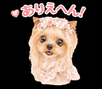 No Way Dog GIF