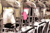diaper GIF