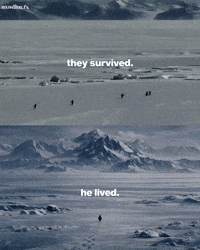 Penguin Mountain GIF