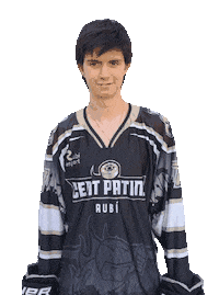 Inline Hockey Goal Sticker by CentPatins