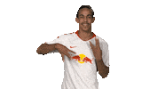 rb leipzig Sticker by Bundesliga